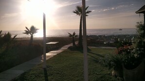 Vista de la playa con palmeras, un sendero y sillas de playa.