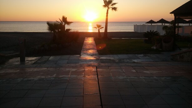 Un sendero pavimentado que conduce a una playa con palmeras y una puesta de sol al fondo.