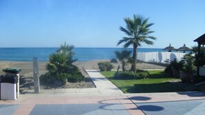 Un paseo marítimo en la playa con una palmera, un bote de basura y vista al océano.