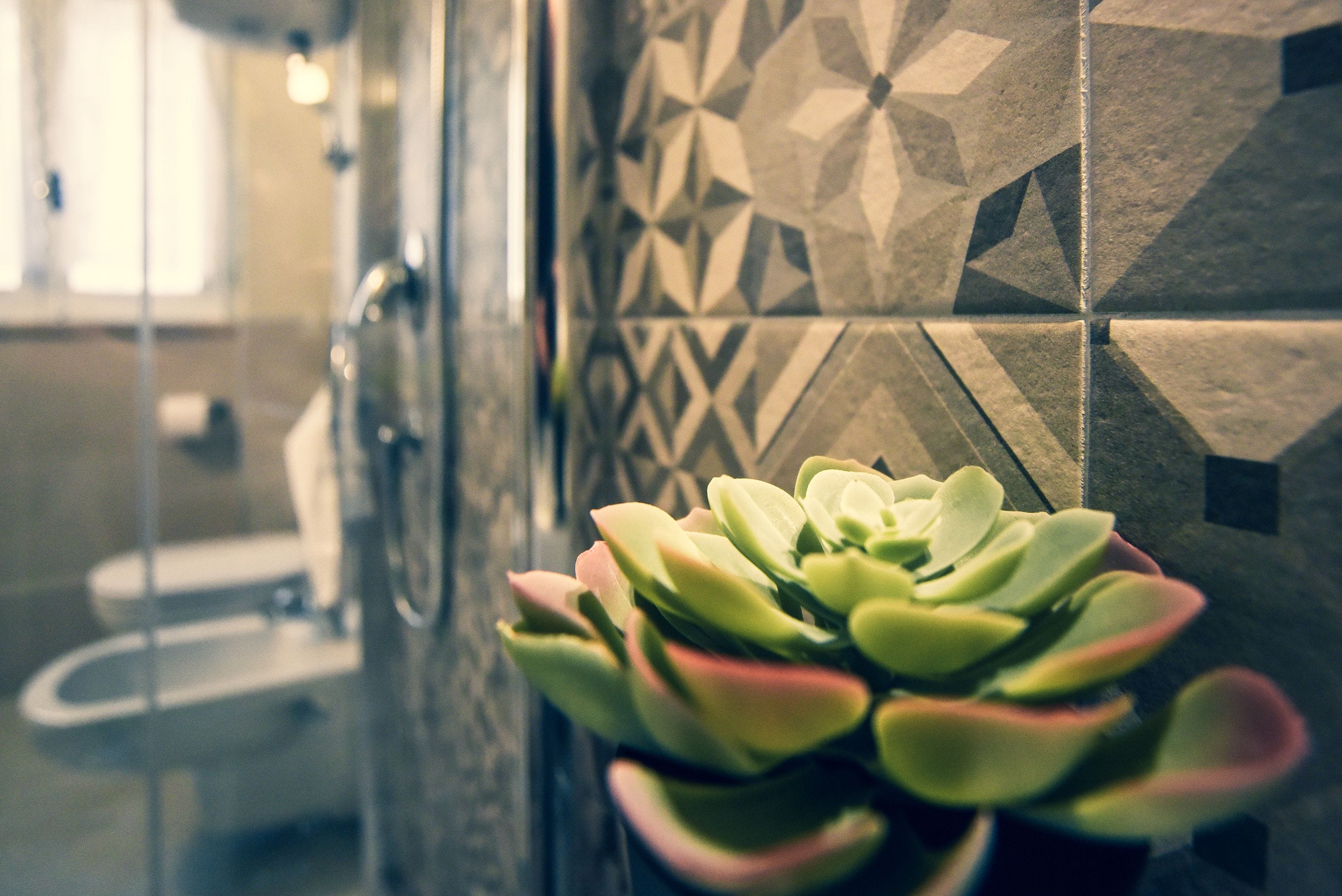 A bathroom with a geometric tile backsplash and a potted succulent plant.