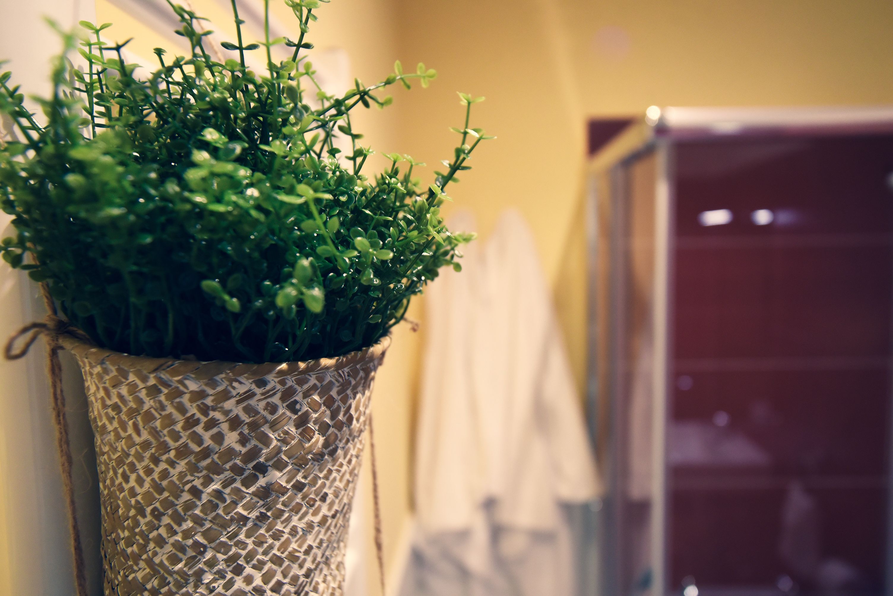 A potted plant in a textured pot on a bathroom counter.