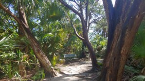 A forested path with a bench and a wooden structure. - Unique Ocean Front Beach House (Flagler Beach)
