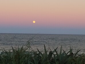 Accommodatie ligt op het strand, ligstoelen, strandlakens
