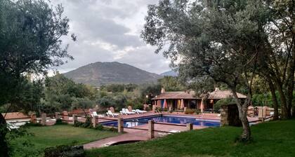 Apartamentos & Habitaciones Vetonia