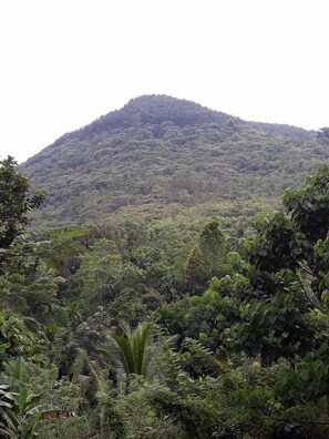 View from property - Grandmaa Cooking Trail - Hostel (Ingiriya)