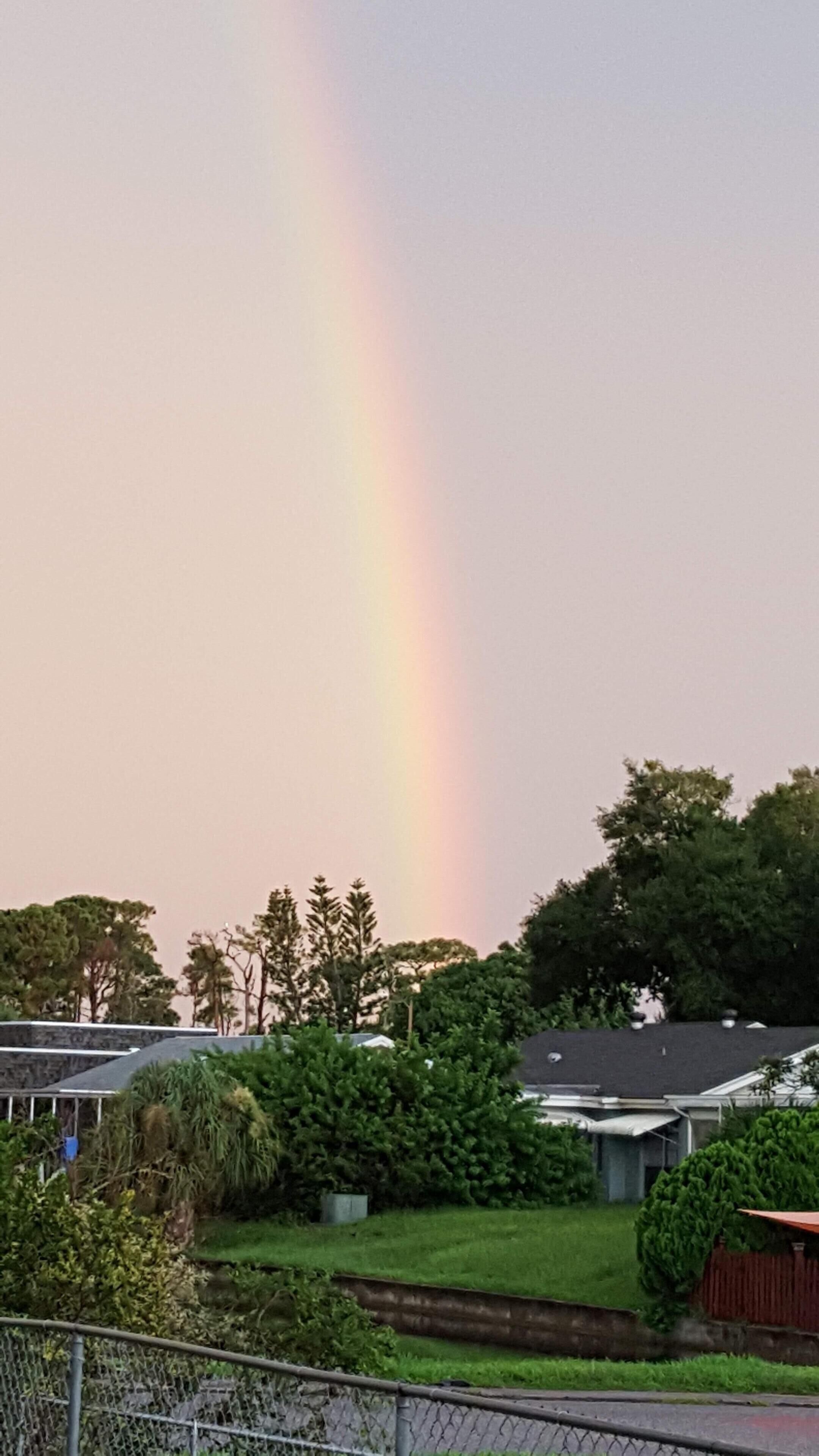 A rainbow over a residential area with houses and greenery.