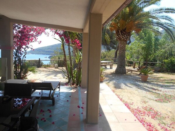 An outdoor patio with a view of the sea, a palm tree, and a table with chairs.