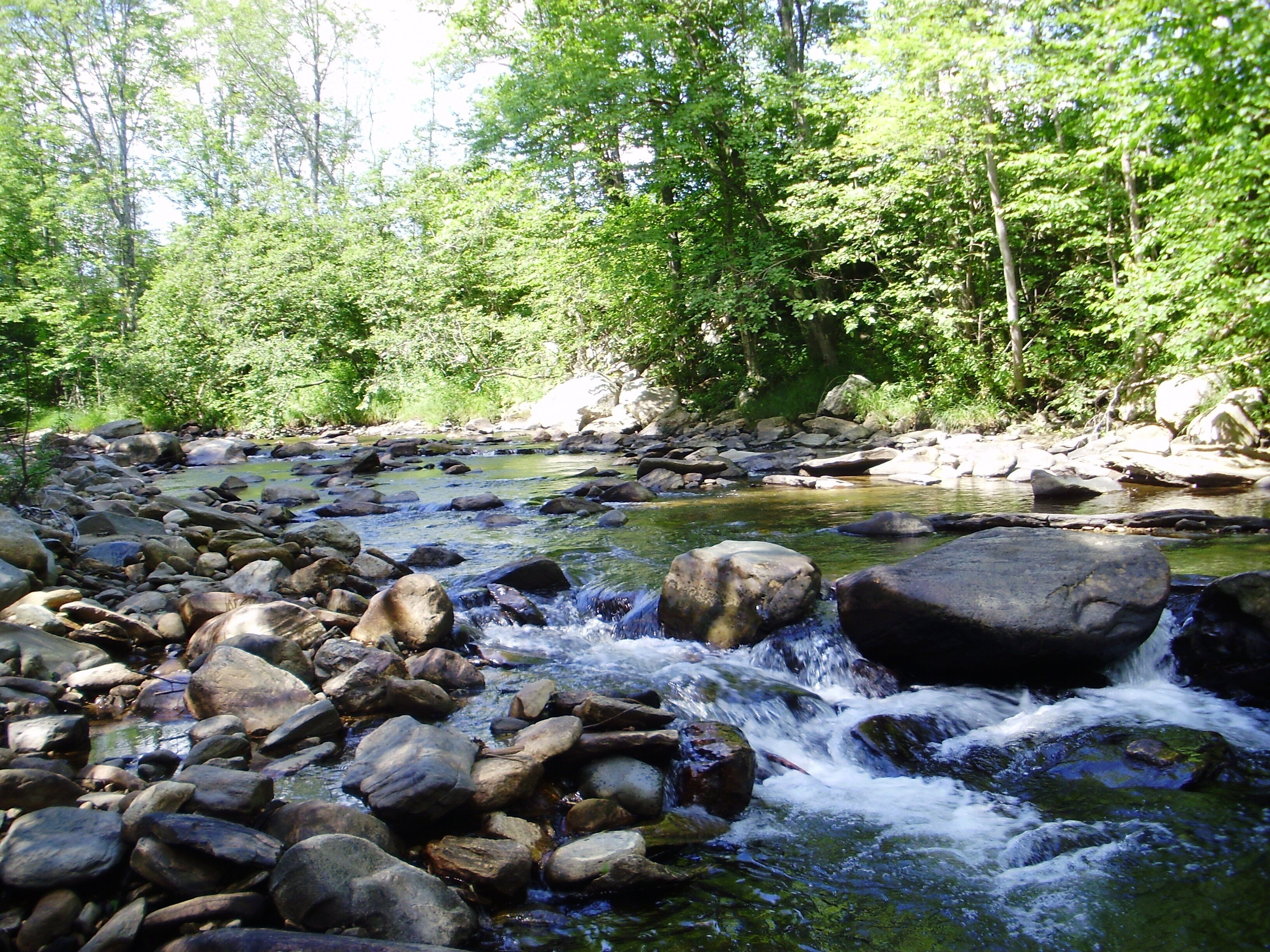 Evergreen is a family friendly retreat located in Weston Vt.