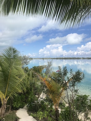 Escape to a serene tropical haven with a tranquil lagoon view, lush greenery, and a sandy beach.