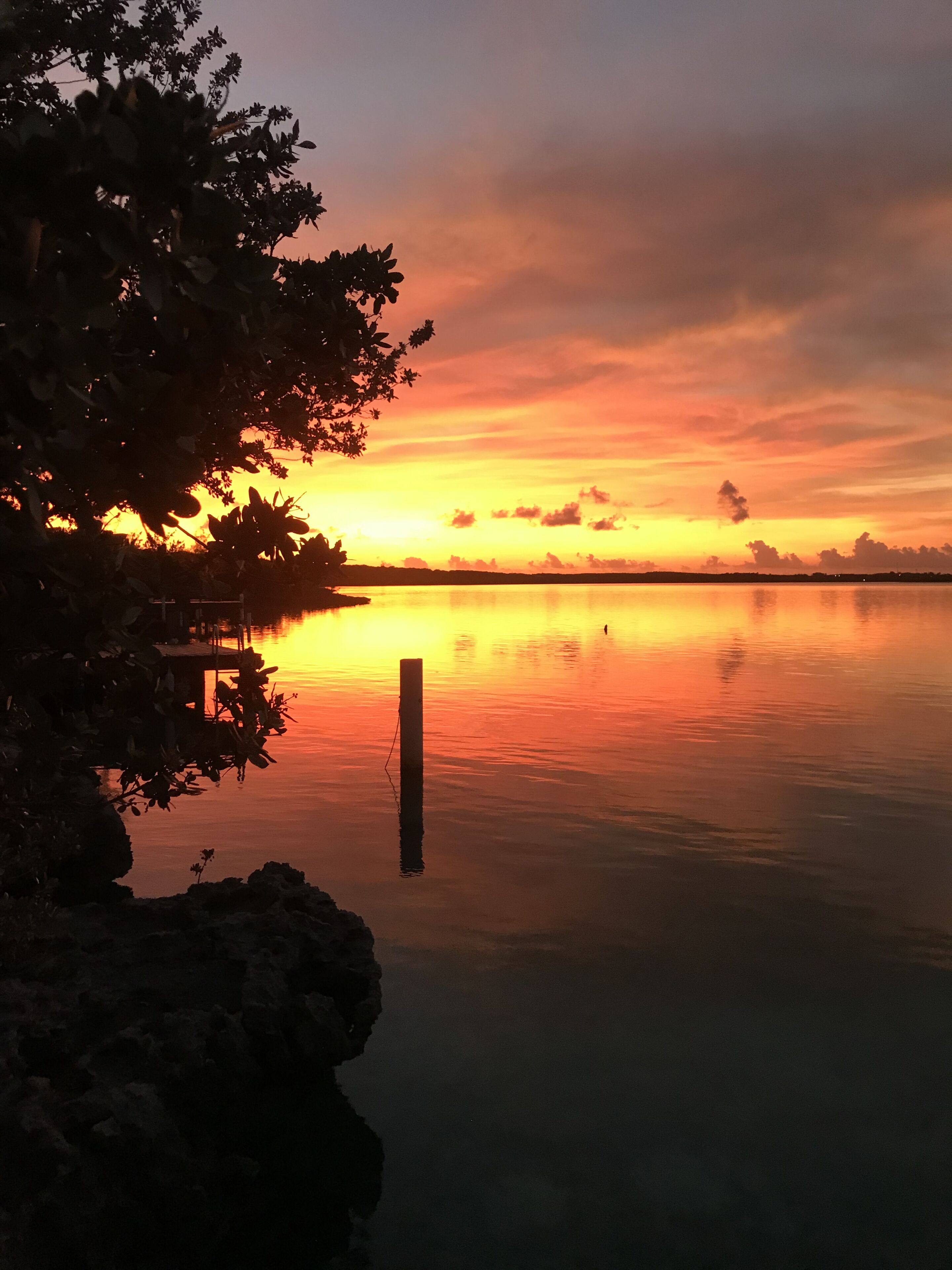 Ubicación a pie de playa y toallas de playa