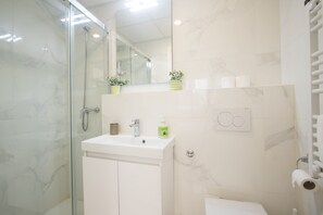 Shower, hair dryer, towels, soap