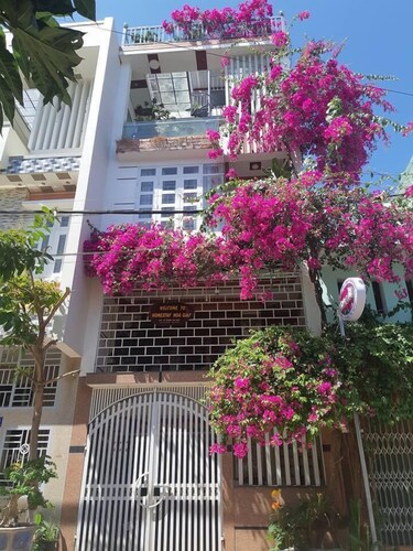 Hoa Giay Quy Nhon Homestay - Hostel