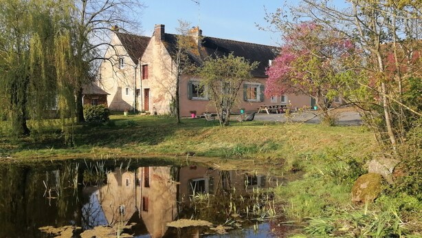 Un paesaggio tranquillo con un lago, una casa che si riflette nell'acqua, circondato da alberi e un tavolo da picnic.