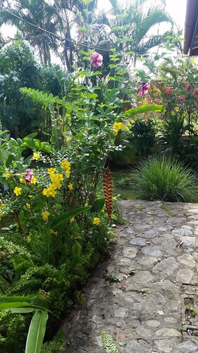 Caribbean Cottage ,Casa Camilla, is a great calm spot to enjoy your vacations