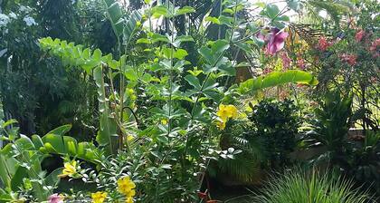 Caribbean Cottage ,Casa Camilla, is a great calm spot to enjoy your vacations