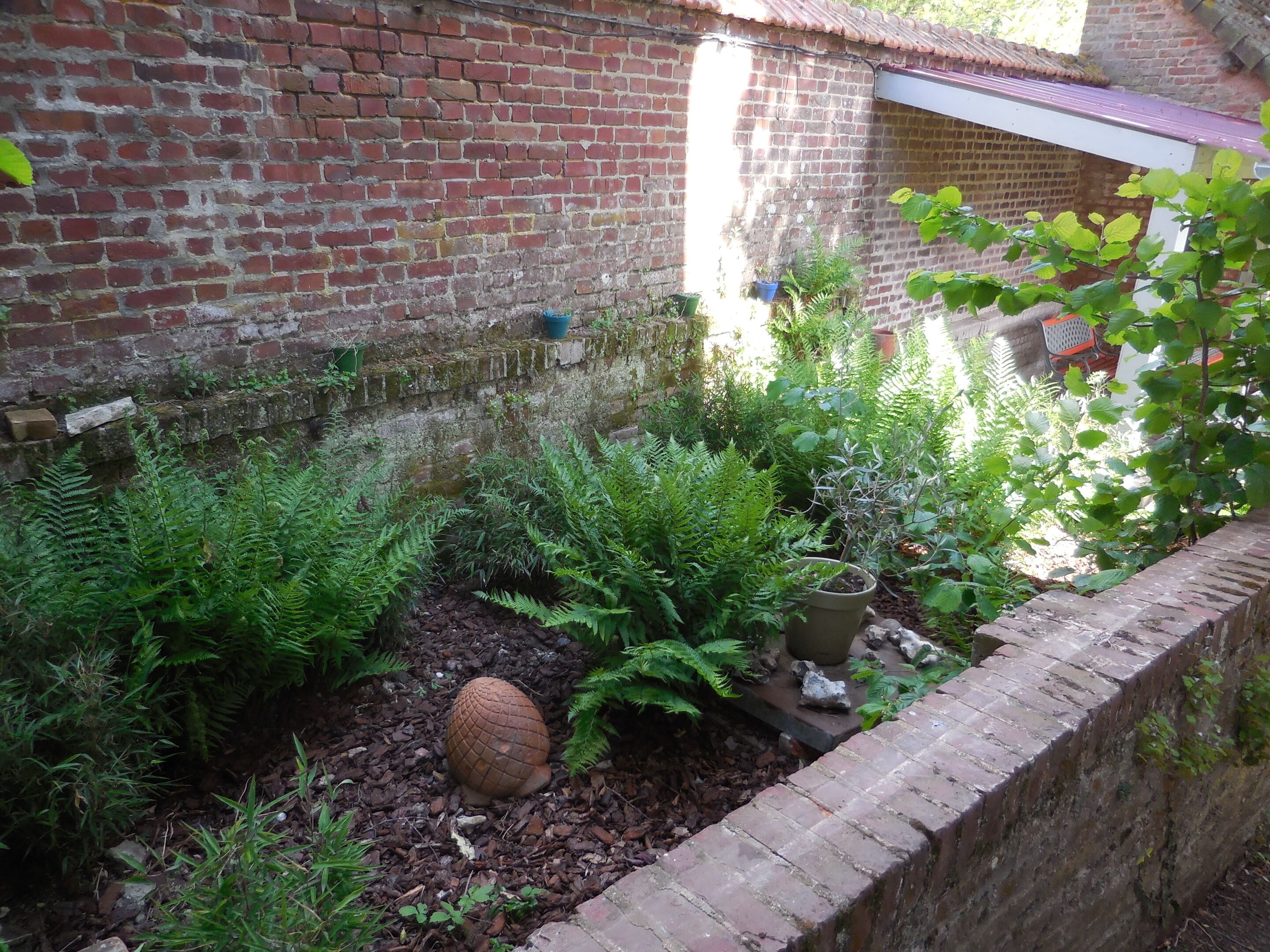 A garden with a brick wall, various plants, and a large decorative stone.