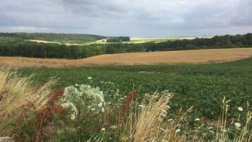 Ländliche Landschaft mit Feldern, Bäumen und einem bewölkten Himmel.