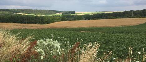 A rural landscape with fields, trees, and a cloudy sky.