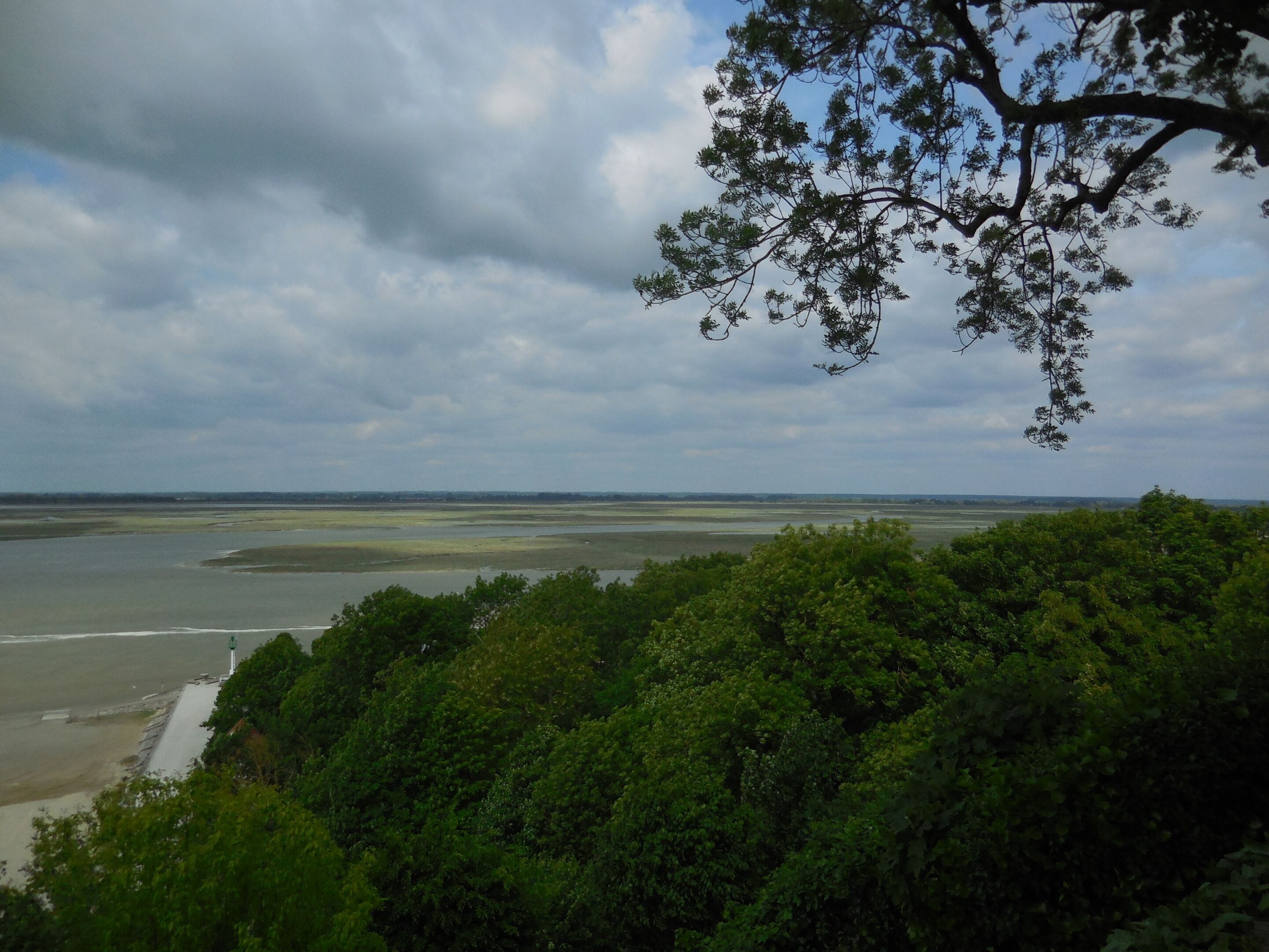 Eine Küstenlandschaft mit üppiger Vegetation und Blick auf das Meer.