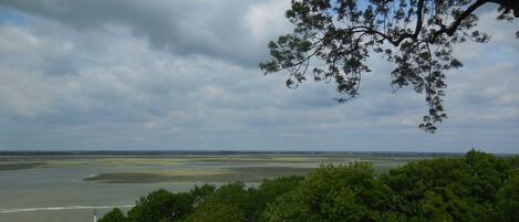 Eine Küstenlandschaft mit üppiger Vegetation und Blick auf das Meer.
