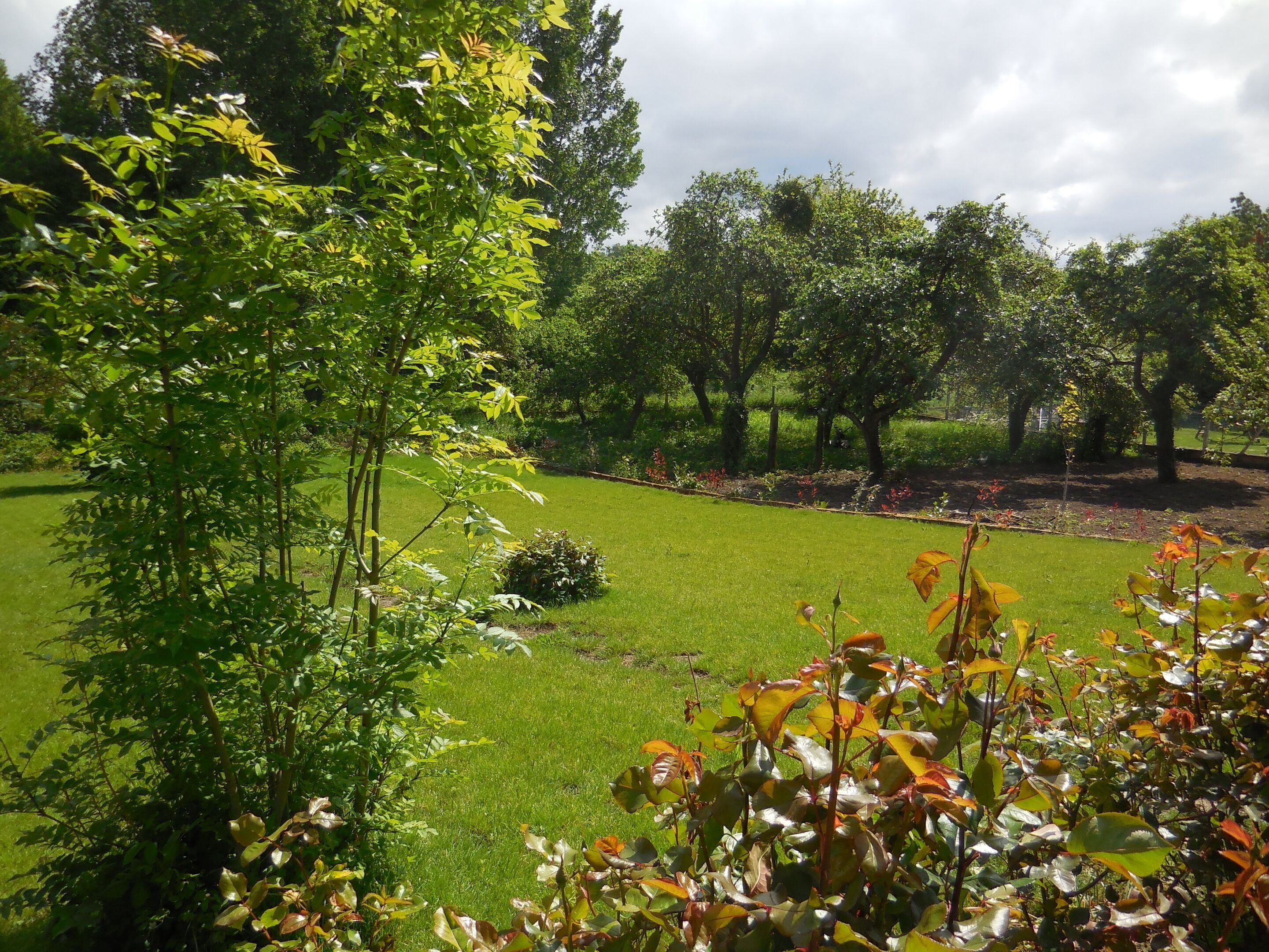 A well-maintained garden with a variety of trees and shrubs, a neatly trimmed lawn, and a clear sky.