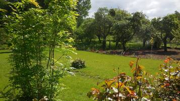 A well-maintained garden with a variety of trees and shrubs, a neatly trimmed lawn, and a clear sky.