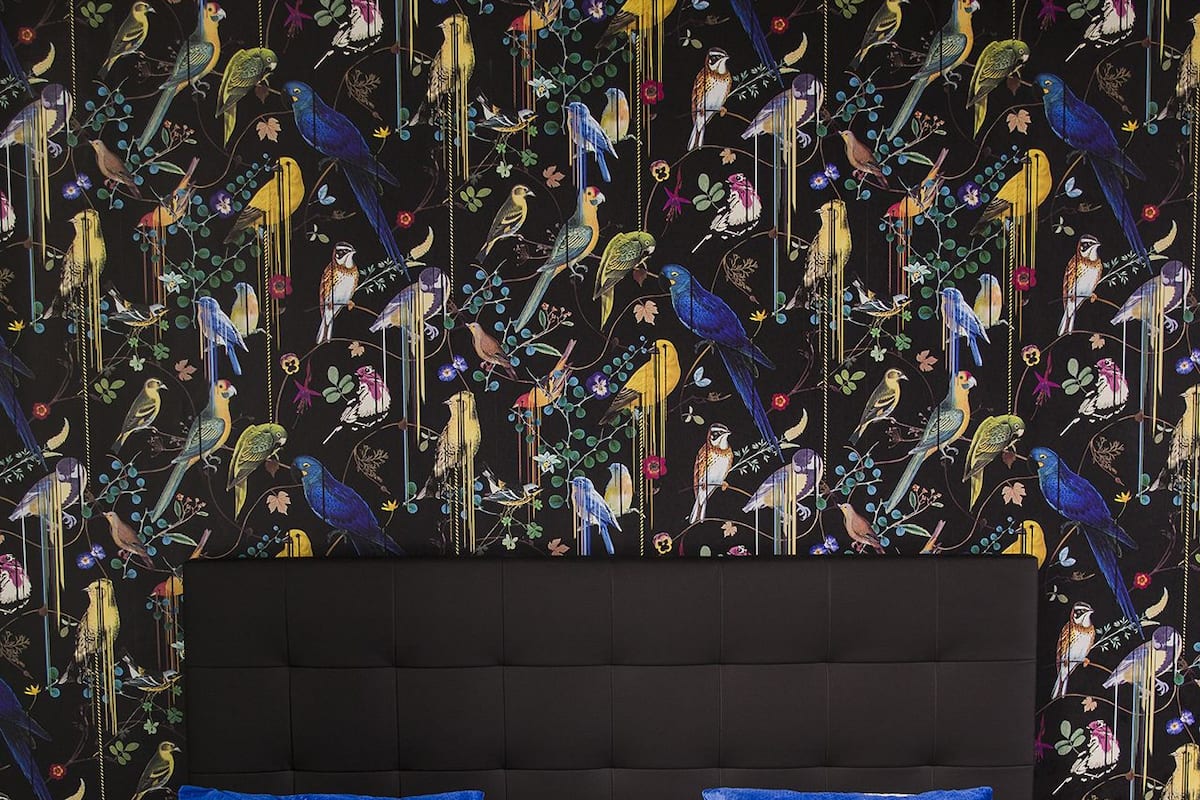 Una cama con cabecera negra y dos almohadas azules, frente a una pared con papel tapiz de pájaros y motivos naturales.