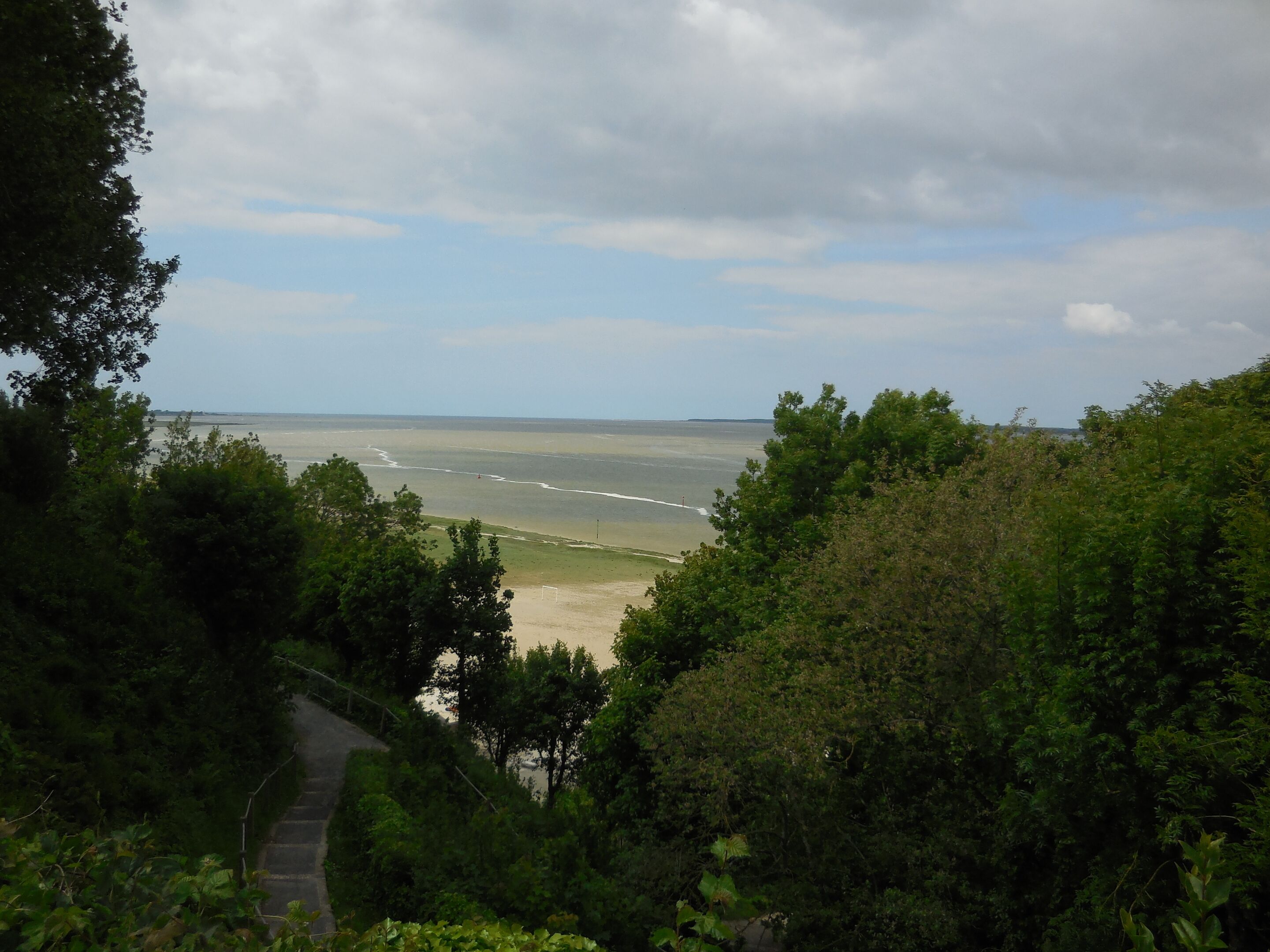 Un paysage côtier avec un sentier menant à une plage.