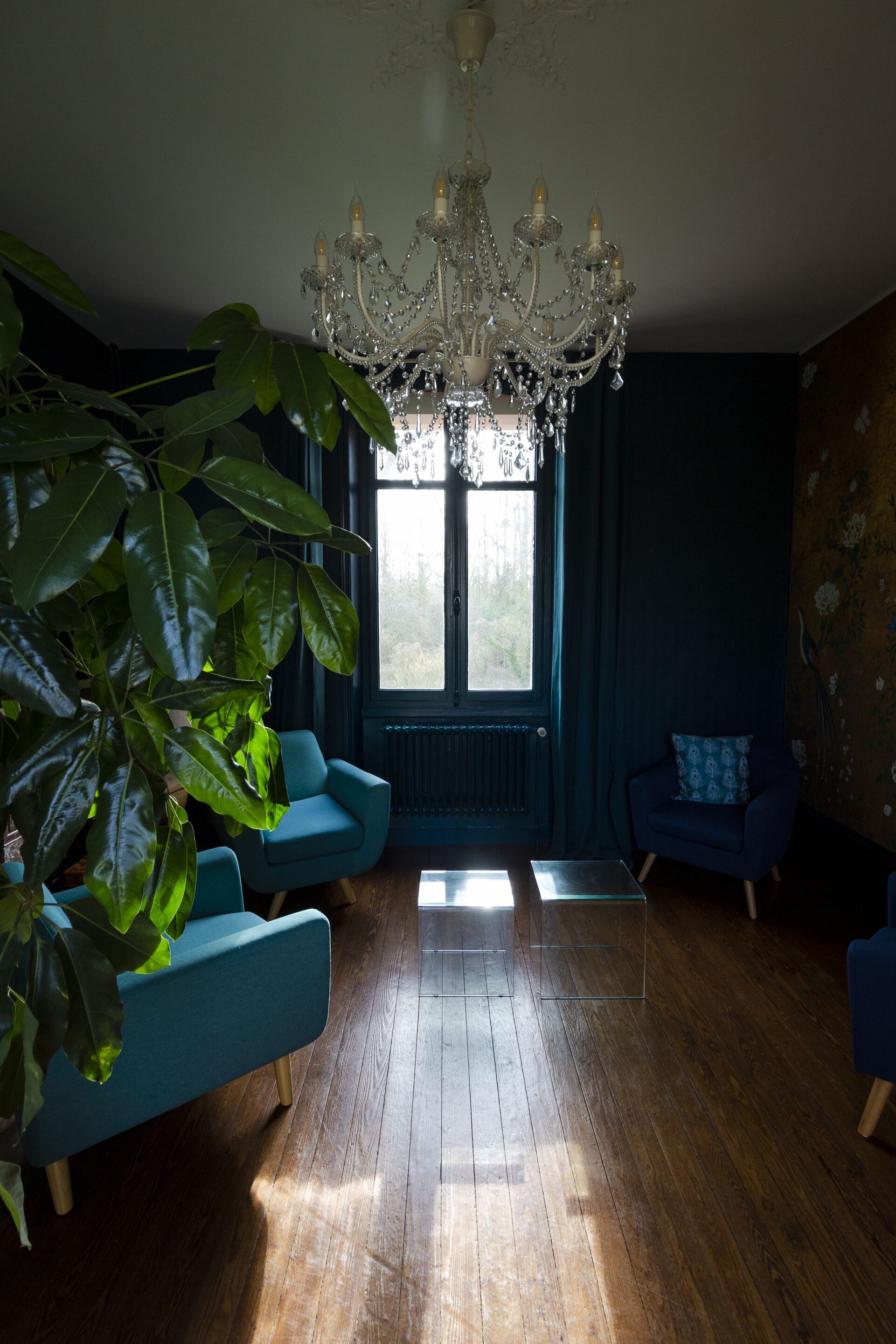 Ein Zimmer mit einer Chandelüster, zwei blauen Sesseln, einer großen Pflanze und einem Fenster mit Blick.