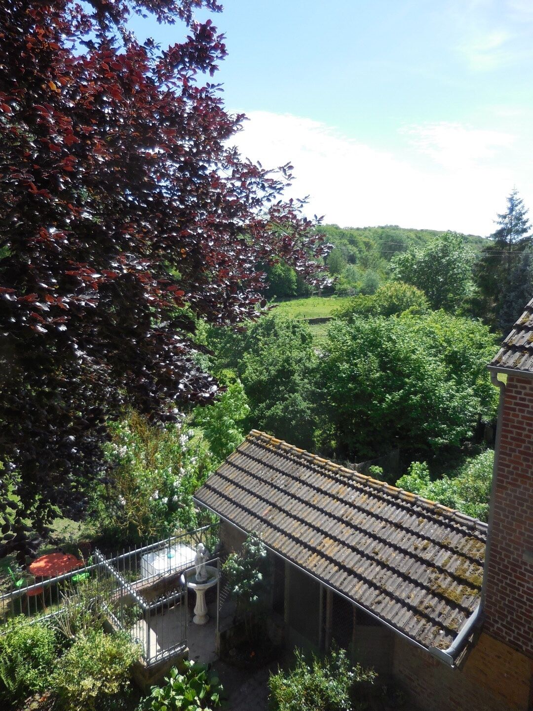 Un patio con techo de tejas, un pequeño jardín y vistas a un paisaje verde y exuberante.