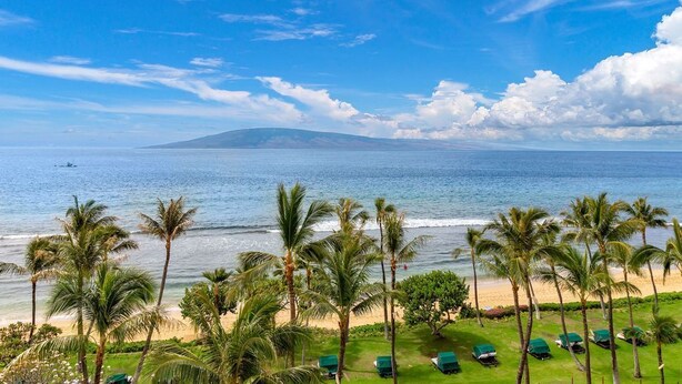 A beach view with palm trees, a clear sky, and a distant mountain.
