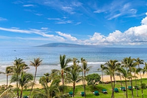 A beach view with palm trees, a clear sky, and a distant mountain.
