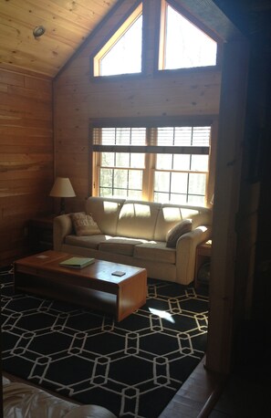 TV, DVD player, books