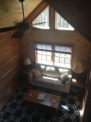 TV, DVD player, books