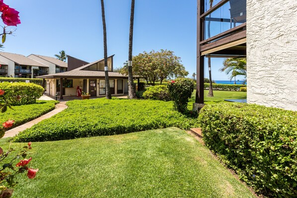 Terrain de l’hébergement 