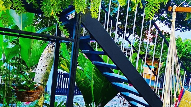 Un escalier entouré d’une végétation luxuriante et agrémenté de plantes suspendues.