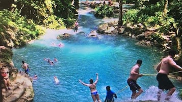 A natural pool surrounded by trees, with people swimming and playing.