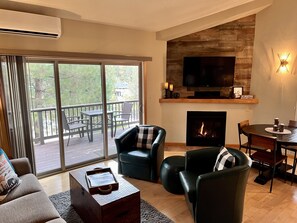 Televisio, takka, DVD-soitin, videokirjasto