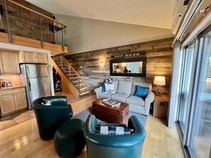 Een televisie, een open haard, een dvd-speler en een filmbibliotheek