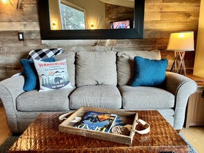 Televisio, takka, DVD-soitin, videokirjasto