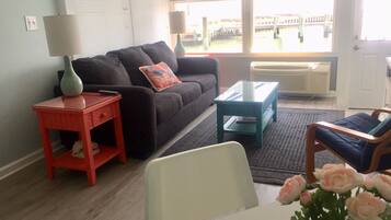 Smart TV, DVD player, books, video library