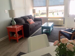 Smart TV, DVD player, books, video library