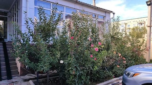 Chambre Double Confort | Terrasse/Patio