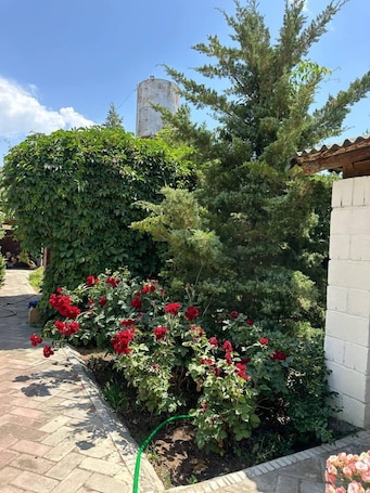 Televisión de pantalla plana