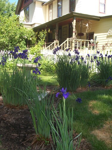 Apple Tree Lane Bed & Breakfast