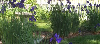 Apple Tree Lane Bed & Breakfast