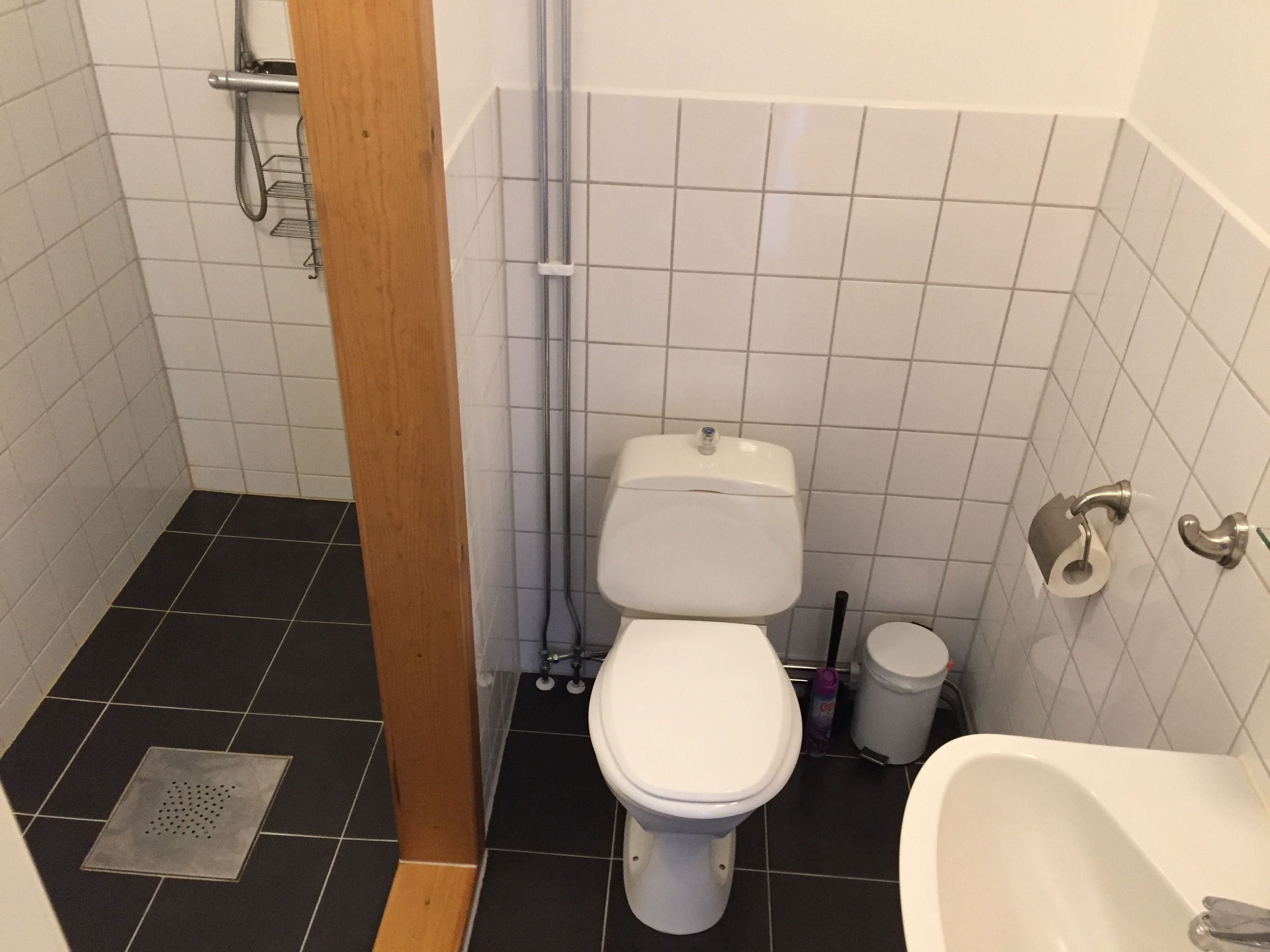 Une salle de bain avec des toilettes, une douche et un lavabo.