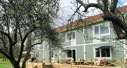 The Green House Guesthouse Sunnemo