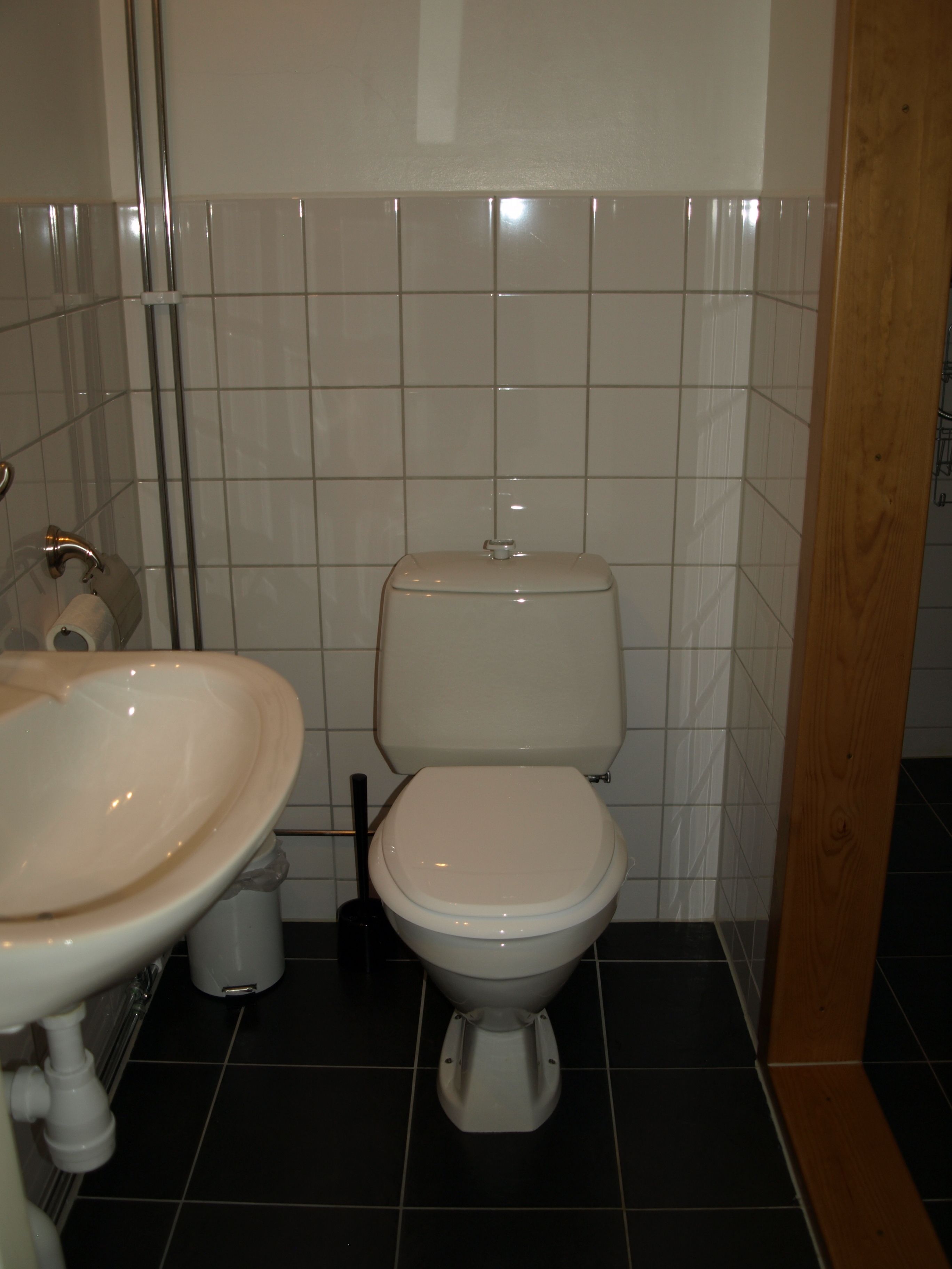 A bathroom with a toilet, sink, and a trash bin.