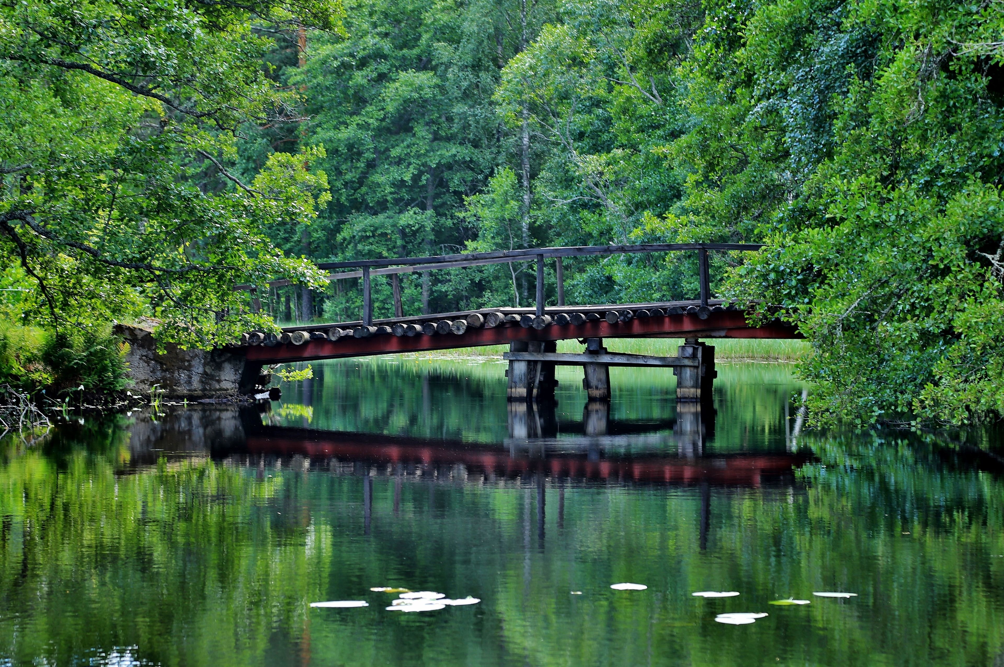 A wooden bridge over a calm lake surrounded by dense green foliage.